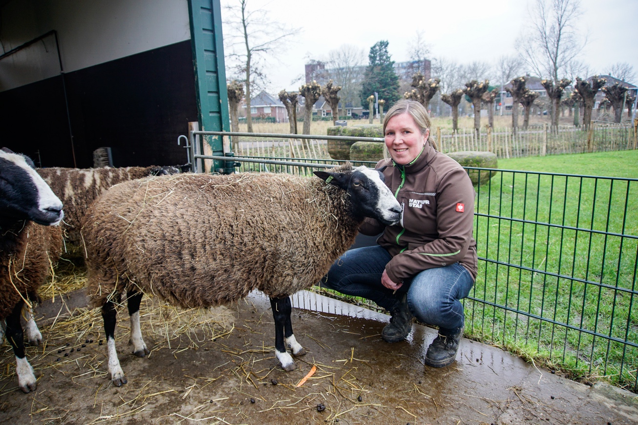 Dierverzorger Marianne van Zoelen werkt al 20 jaar op de Rotterdamse Kinderboerderijen