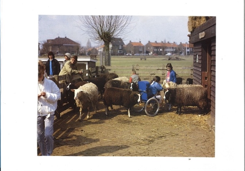 Kinderen tussen de schapen, jaren ’80.