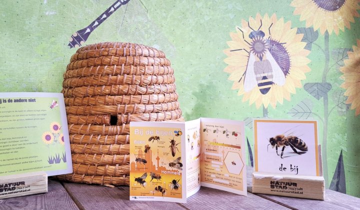 lesmateriaal voor les over bijen