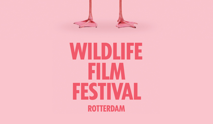 Wildlife film festival Rotterdam