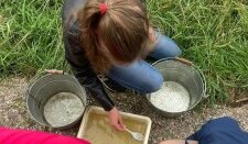 In de sloot uit de sloot