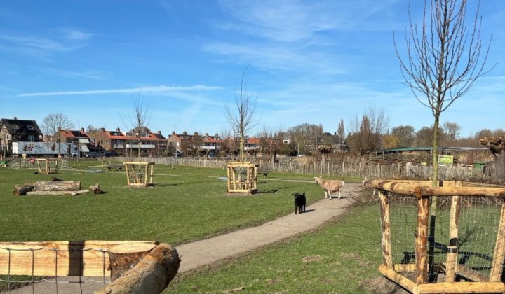 240 nieuwe bomen bij Natuurstad