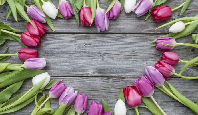 tulpen op tafel in de vorm van een hart