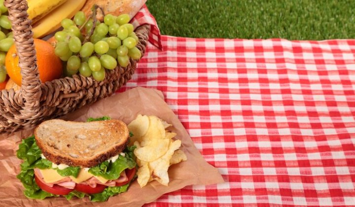 Internationale picknickdag