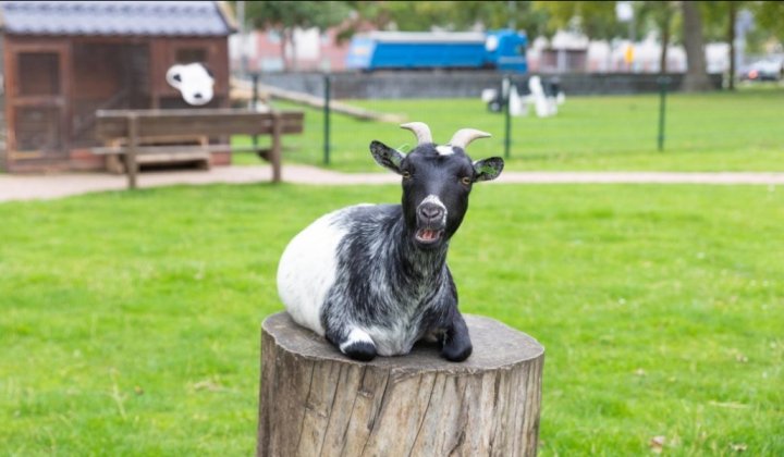 Ontdek de Natuur dag