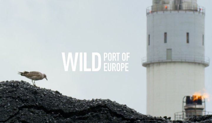trailer wild ports of europe natuurstad